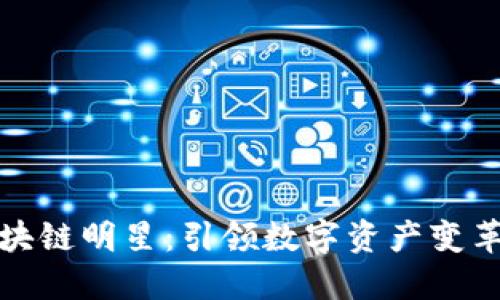 十大区块链明星：引领数字资产变革的先锋